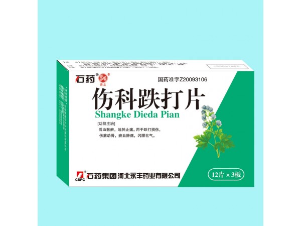 傷科跌打片