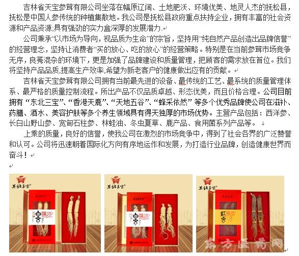 公司簡介