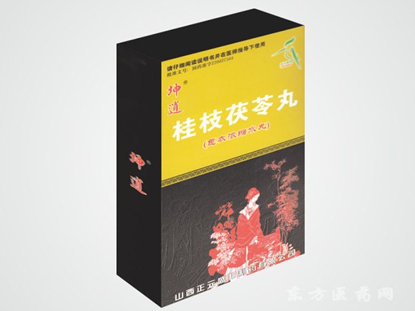坤逍桂枝茯苓丸