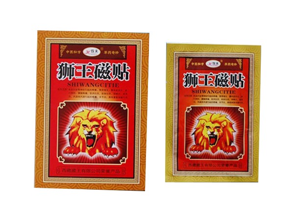 獅王磁貼
