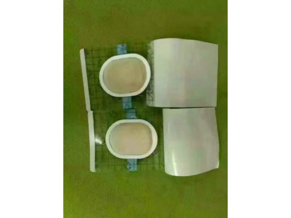 東進(jìn)藥業(yè)，沙蒿子透皮貼全國招商