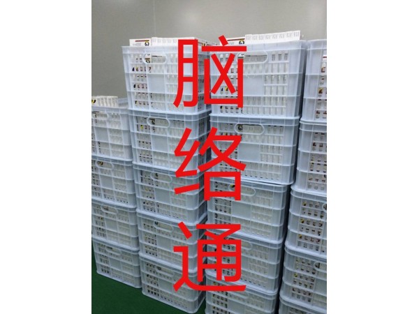 德盟腦絡通