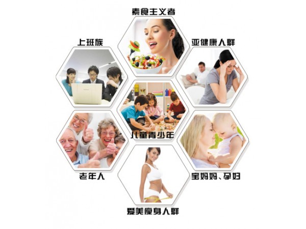 素食代餐