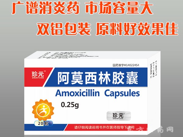 阿莫西林膠囊