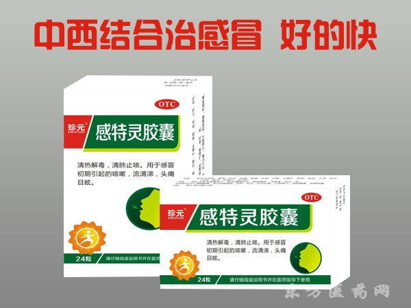 感特靈膠囊