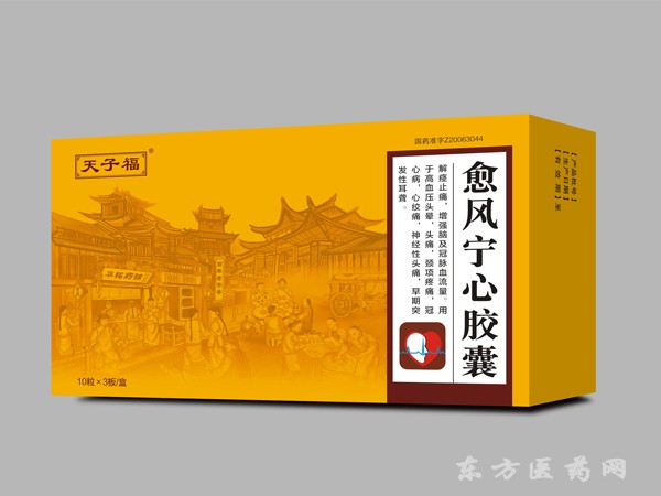 愈風(fēng)寧心膠囊