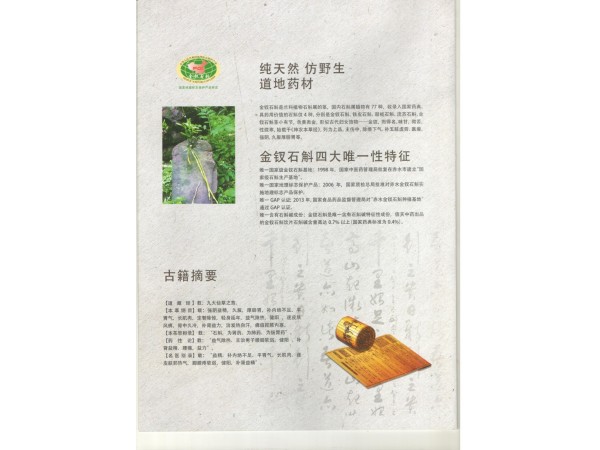 金釵石斛