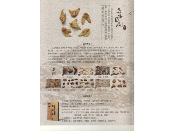 白及