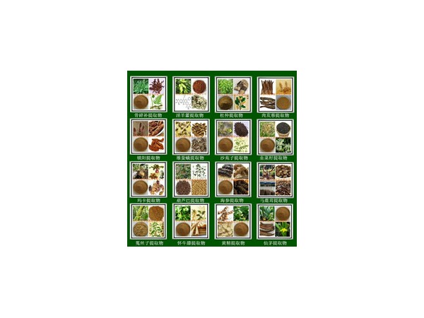夏枯草提取物 速溶粉