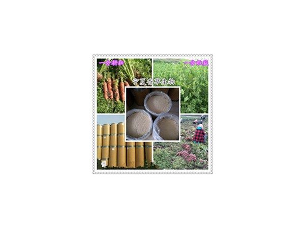 白耙齒菌提取物10:1