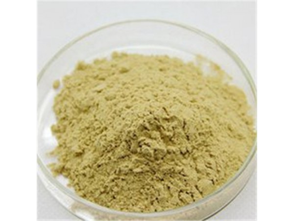 黃豆芽提取物  20:1 浸膏粉