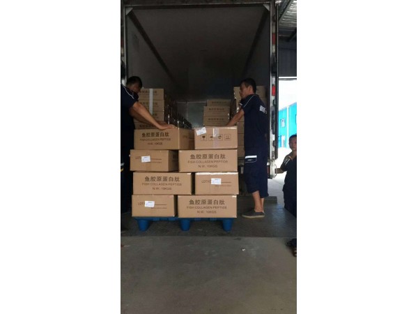 魚膠原蛋白肽 寧夏廠家