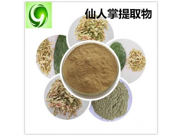 仙人掌生粉 150目