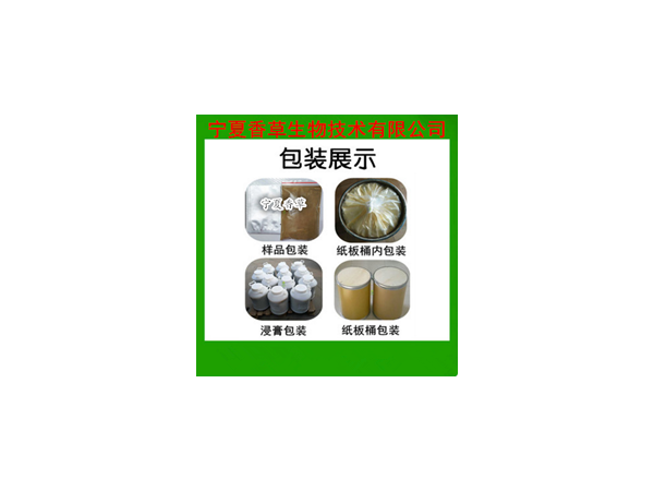 松子仁粉速溶粉
