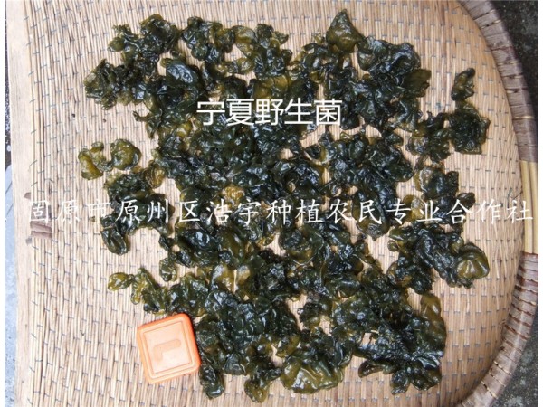 葛仙米濃縮粉