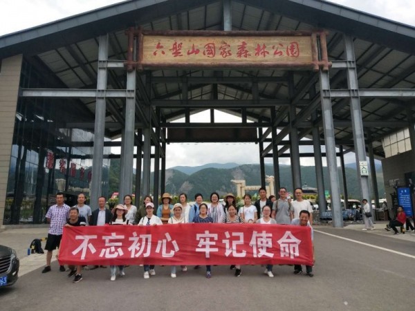 代餐粉松子仁粉