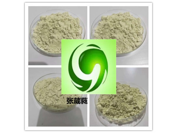 方瓜籽提取物