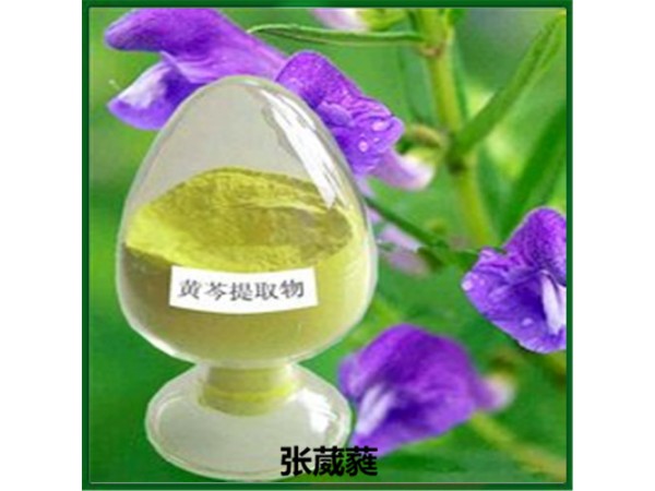 寧夏黃芩苷85%