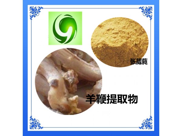牛睪丸蛋白粉