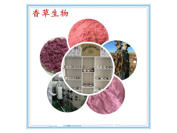 寧夏苦參提取物20:1