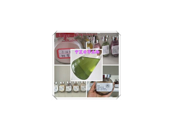 含沙棘葉黃酮