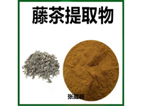 藤茶黃酮15%