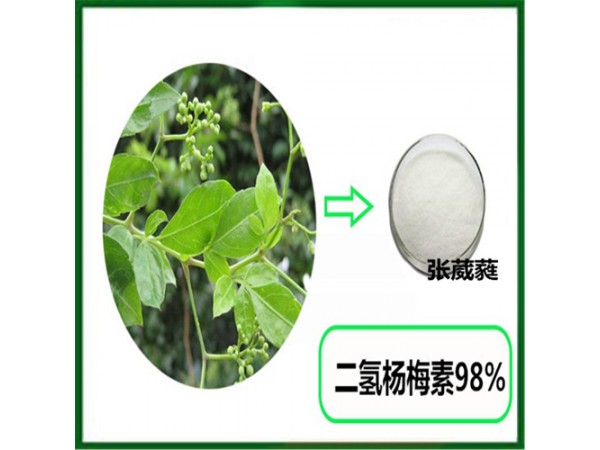 藤茶黃酮15%