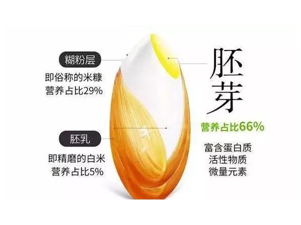 富硒大米胚沖調(diào)粉