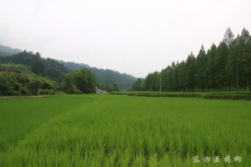 微信圖片_20190325115619