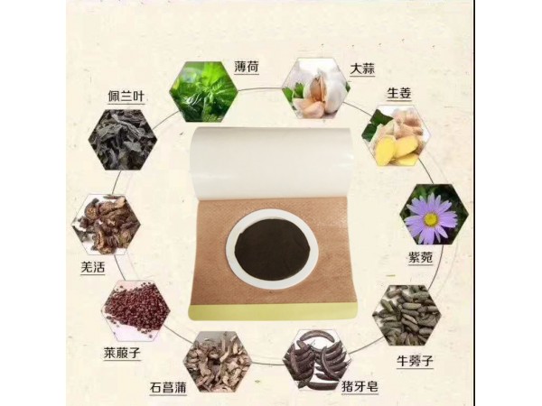 一類械字號(hào)蜂蜜藥泥貼【消化不良貼】