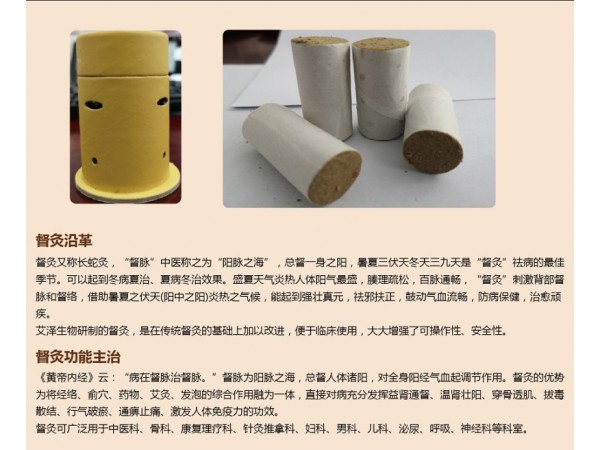 灸療裝置-督灸