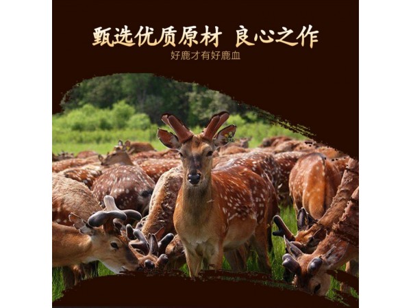 惜先生咖啡