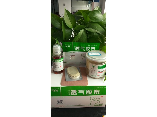 沙蒿子透皮貼