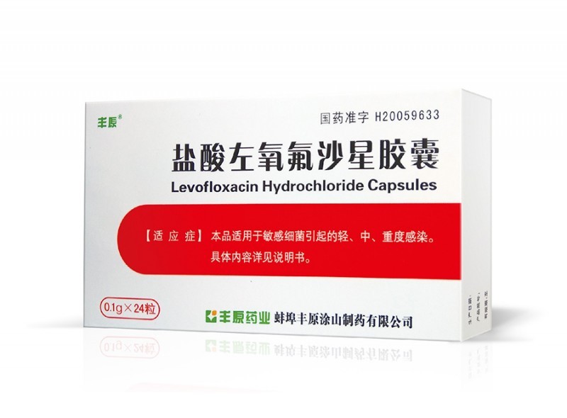 鹽酸左氧氟沙星膠囊