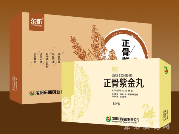 正骨紫金丸