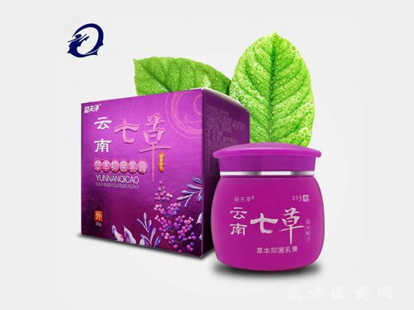 云南七草