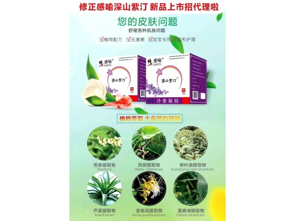 修正 深山紫汀