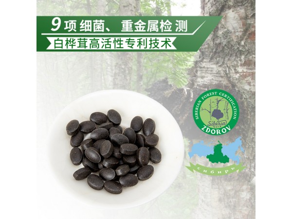 樺樹茸精片 樺褐孔菌