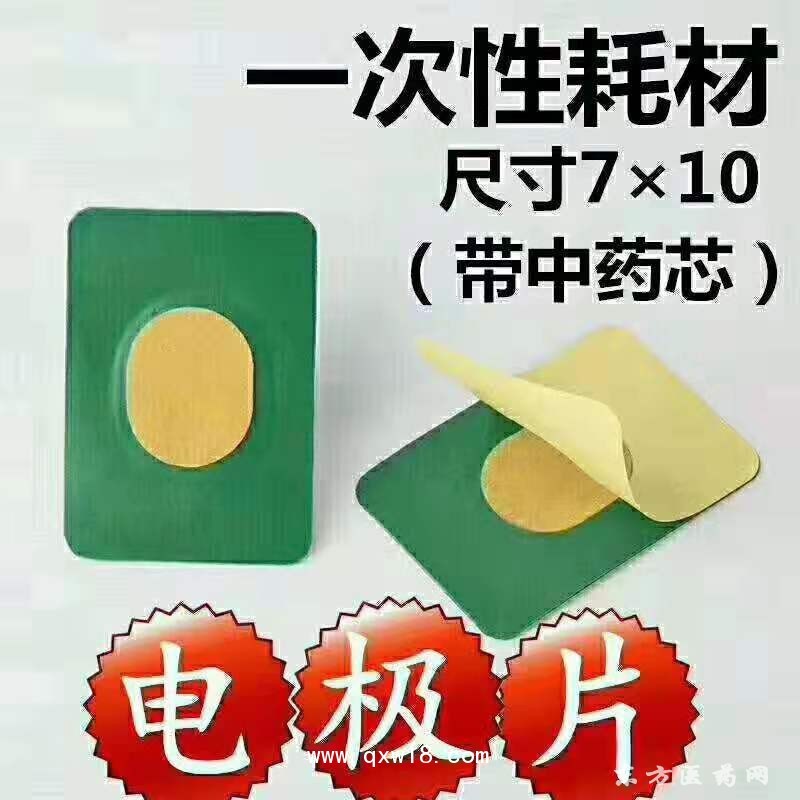 電極片