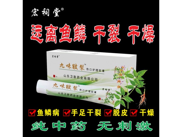 九味皸裂