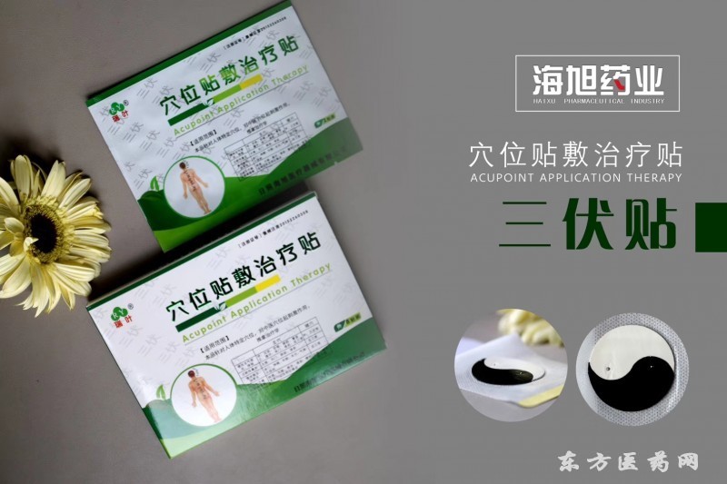 沙蒿子透皮貼