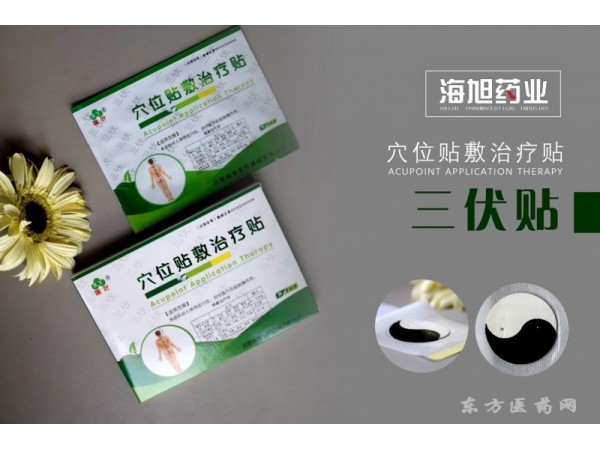 沙蒿子透皮貼