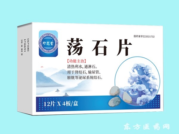 蕩石片