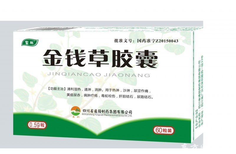 金錢草膠囊