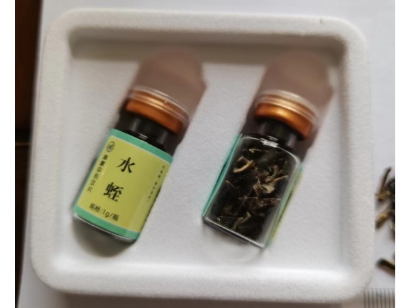 水蛭