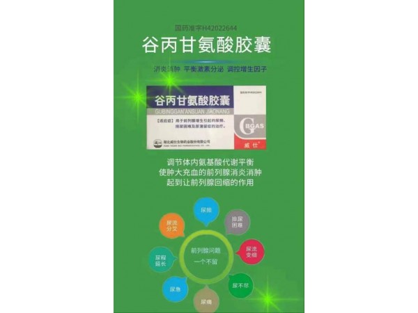 谷丙甘氨酸膠囊