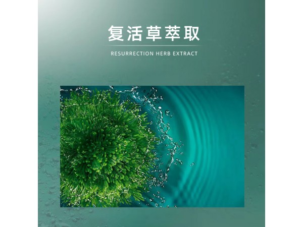 美葆林復(fù)活草日夜補水面霜
