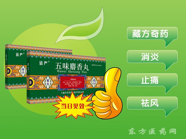 五味麝香丸