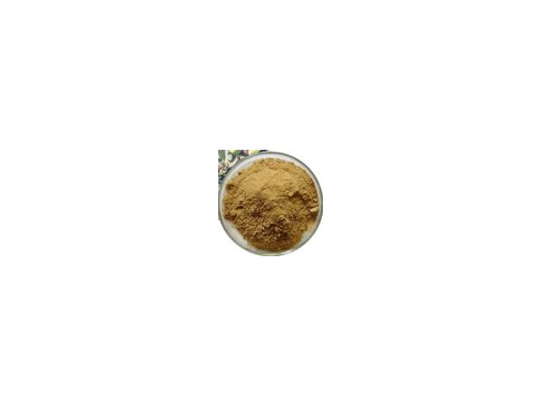 橄欖葉提取物 廠家現(xiàn)貨供應(yīng)