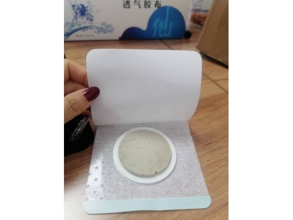 沙蒿子貼